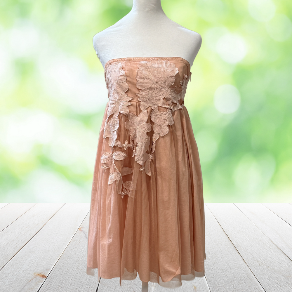 RYU Strapless Dress Floral Applique Tulle Overlay Fairy Peach Midi Party Size S
